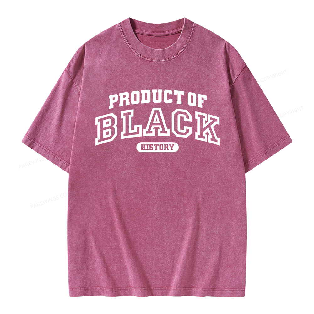 Pagewings Product of Black History Unisex Washed T-shirt