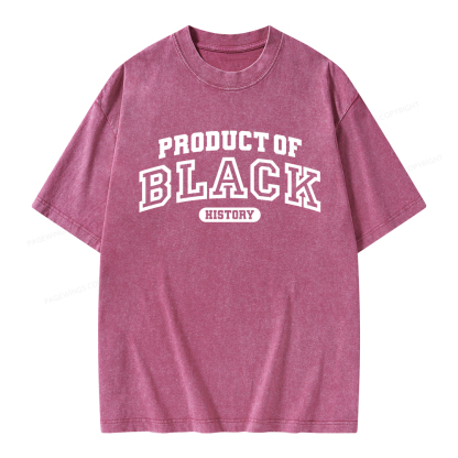 Pagewings Product of Black History Unisex Washed T-shirt