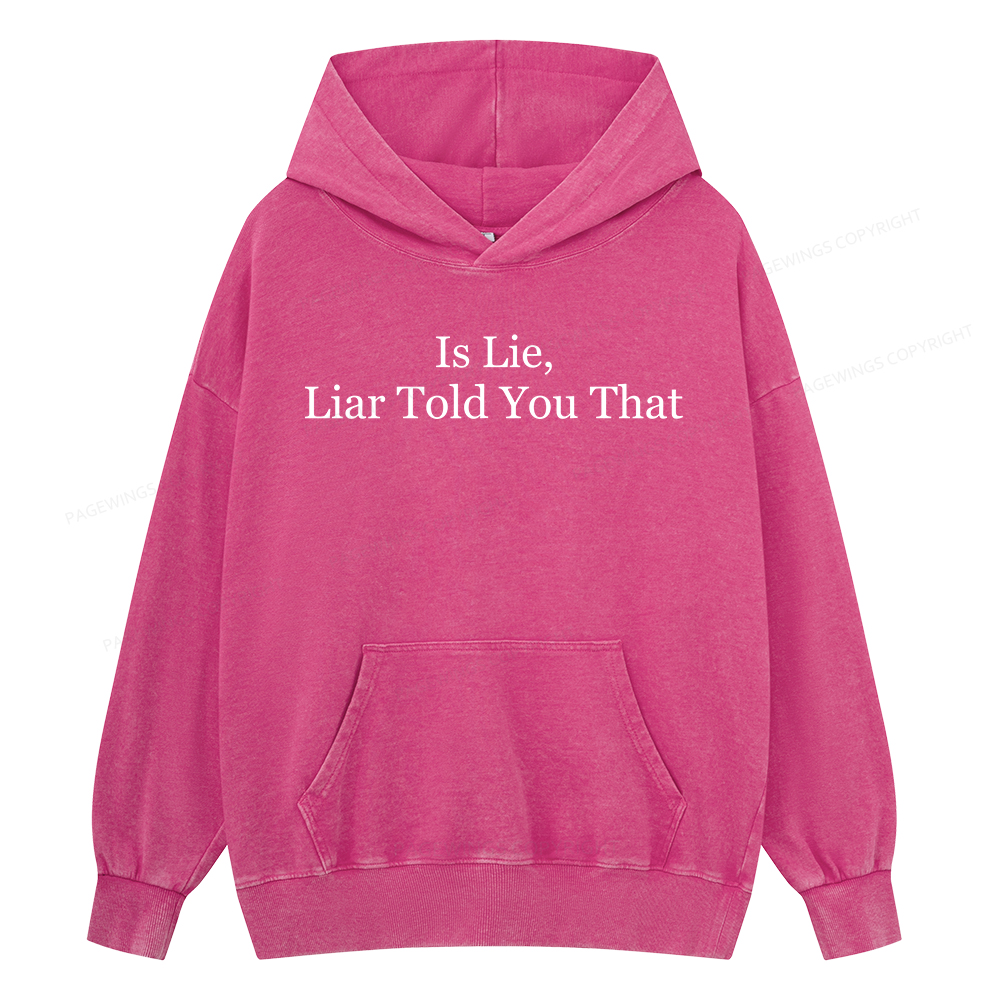 Pagewings Is Lie Liar Told You That Unisex Washed Hoodie