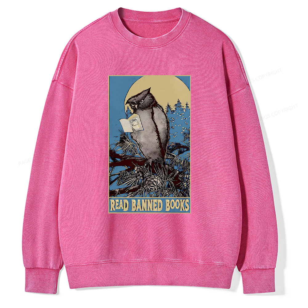 Pagewings Owl Read Banned Books Washed Sweatshirt