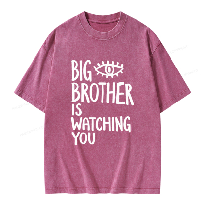 Pagewings Big Brother Is Watching You Unisex Washed T-shirt