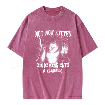 Pagewings Not Now Kitten I’m Diving Into A Classic Unisex Washed T-shirt