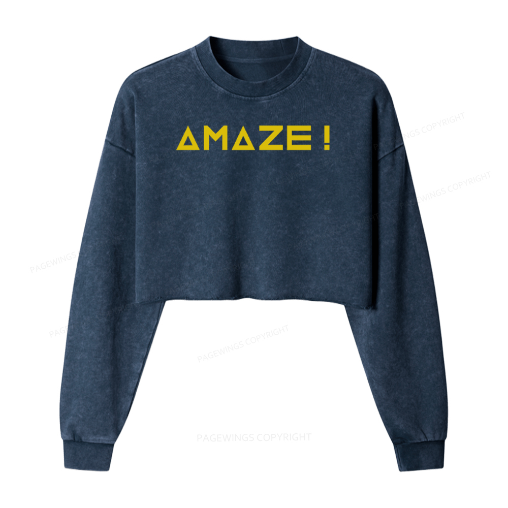 Pagewings Amaze Washed Crop Sweatshirt