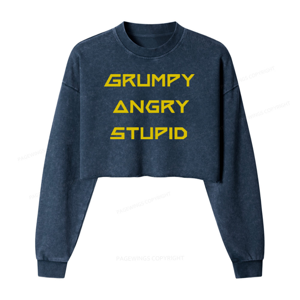 Pagewings Grumpy Angry Stupid Washed Crop Sweatshirt