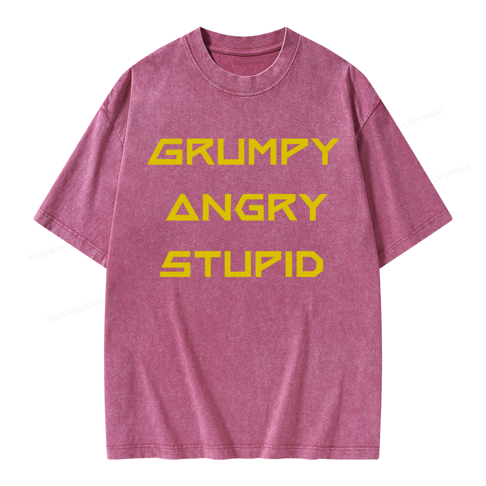 Pagewings Grumpy Angry Stupid Unisex Washed T-shirt
