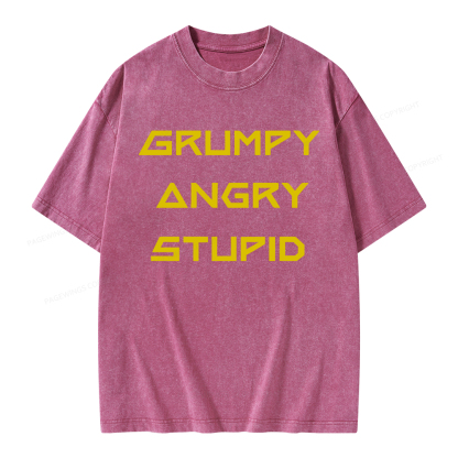 Pagewings Grumpy Angry Stupid Unisex Washed T-shirt