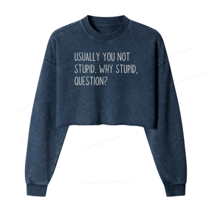 Pagewings Funny Rocky Quote Washed Crop Sweatshirt