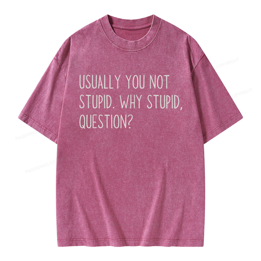Pagewings Why Stupid Question Unisex Washed T-shirt
