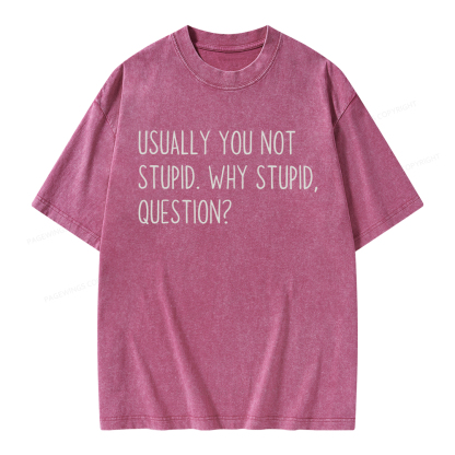 Pagewings Why Stupid Question Unisex Washed T-shirt