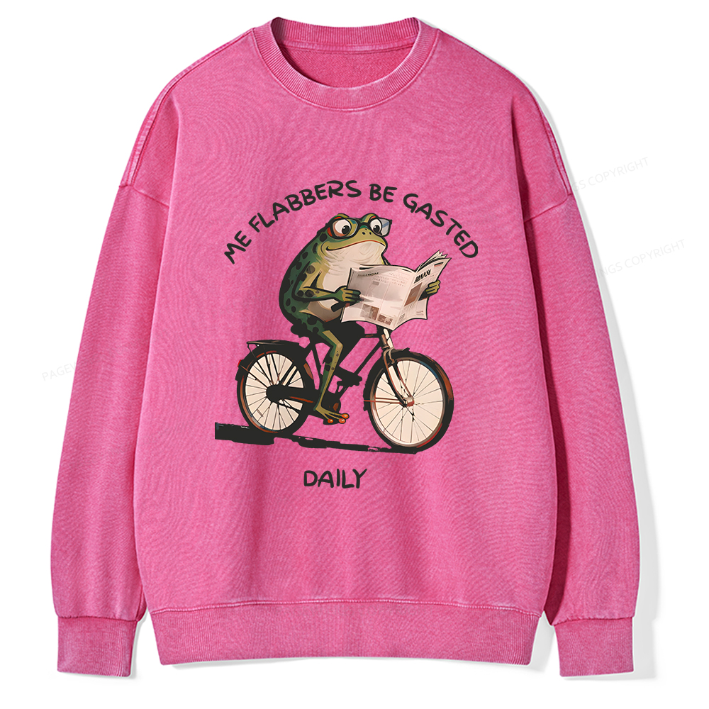 Pagewings Me Flabbers Be Gasted Daily Unisex Washed Sweatshirt