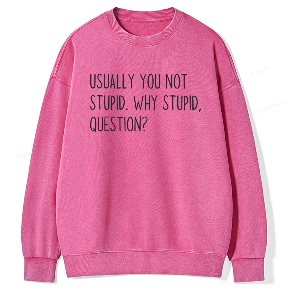 Pagewings Why Stupid Question Unisex Washed Sweatshirt
