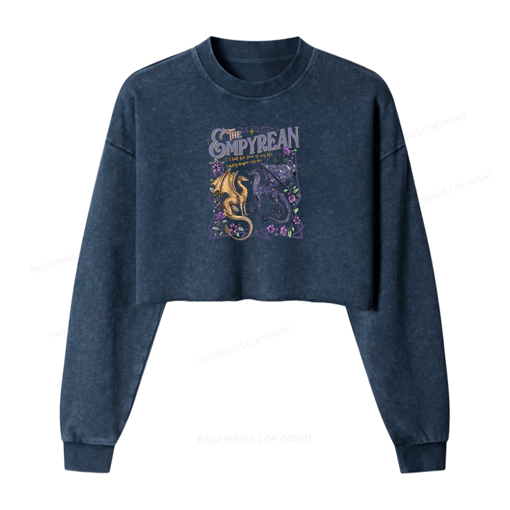 Pagewings Dragon Riders Washed Crop Sweatshirt
