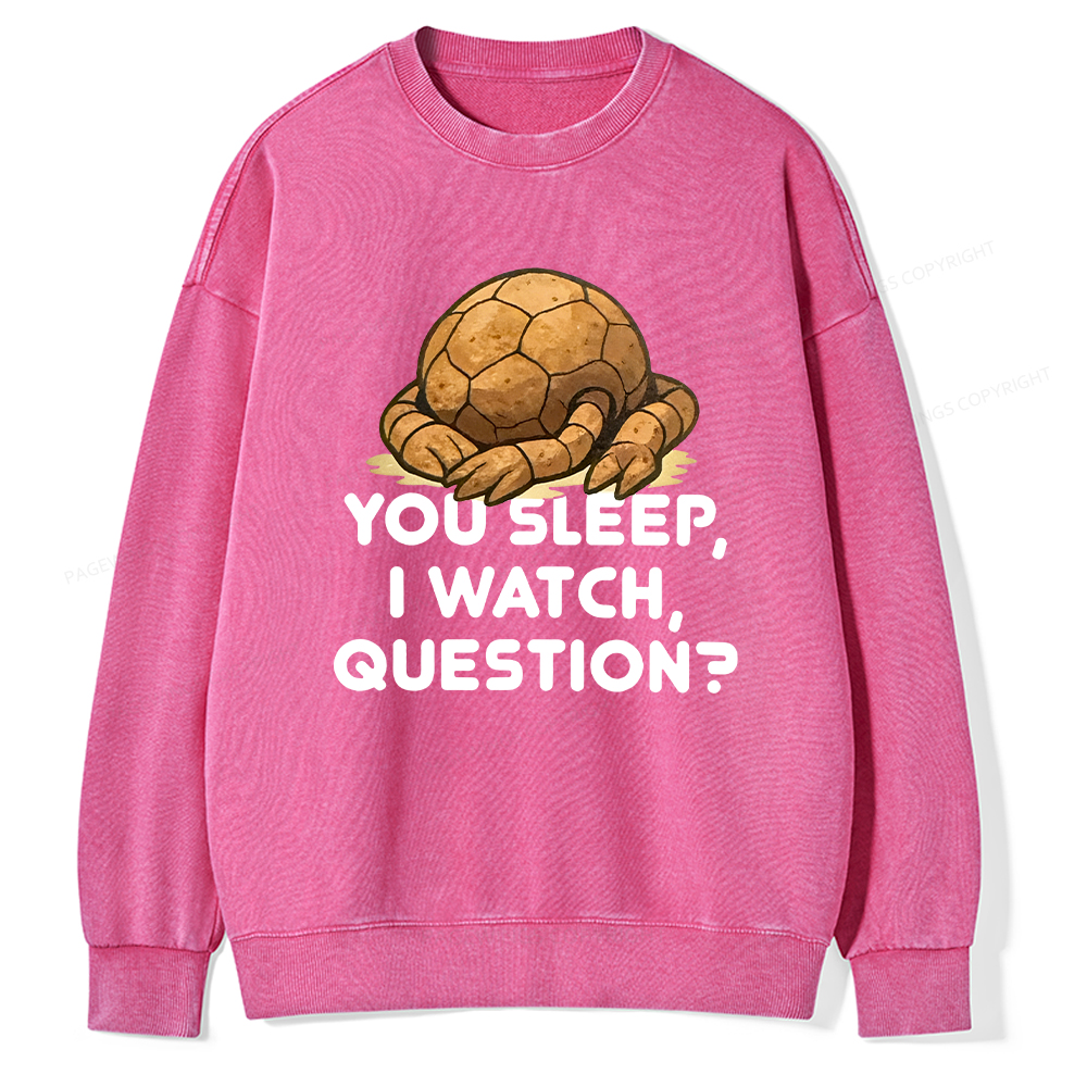 Pagewings You Sleep I Watch Question Unisex Washed Sweatshirt