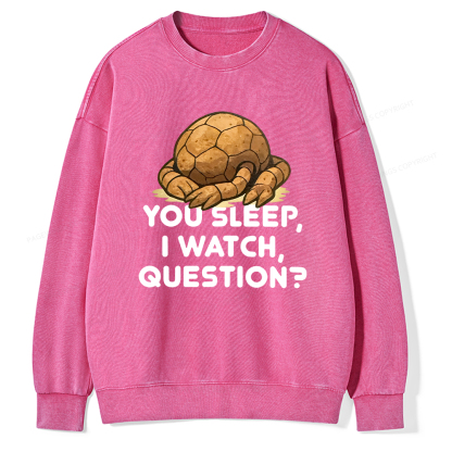Pagewings You Sleep I Watch Question Unisex Washed Sweatshirt