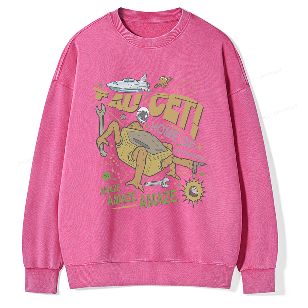 Pagewings Rocky Bookish Unisex Washed Sweatshirt