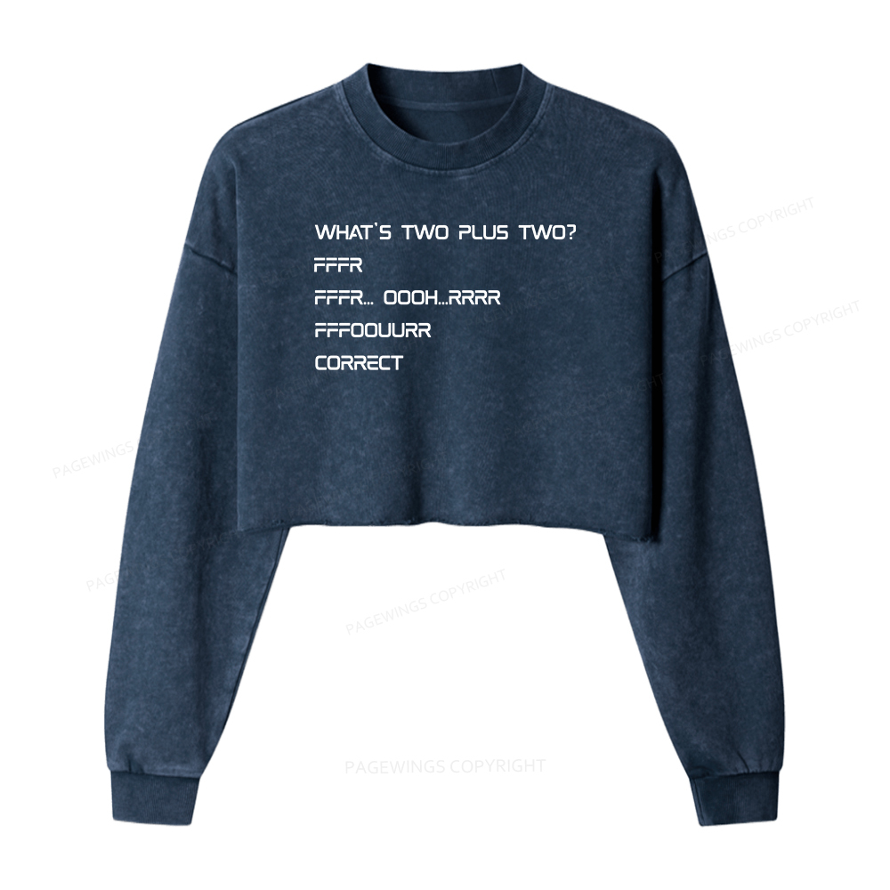 Pagewings What’s Two Plus Two Washed Crop Sweatshirt