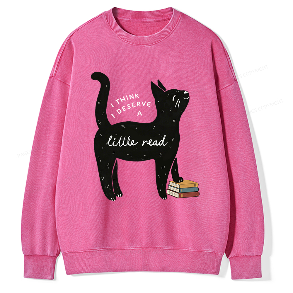 Pagewings Little Read Unisex Washed Sweatshirt