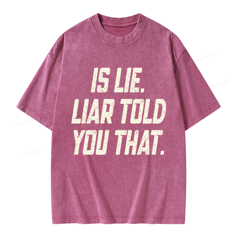 Pagewings Is Lie Liar Told You That Unisex Washed T-shirt