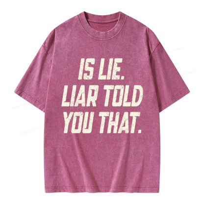 Pagewings Is Lie Liar Told You That Unisex Washed T-shirt