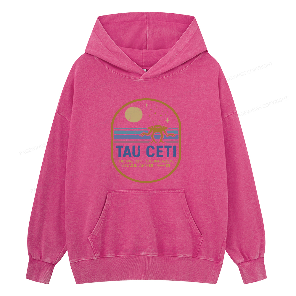 Pagewings Amaze Unisex Washed Hoodie
