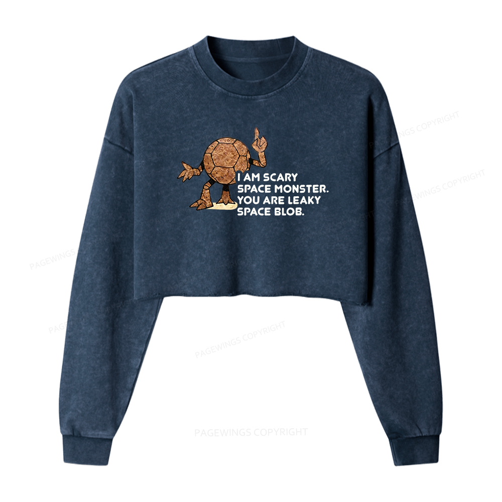 Pagewings Sci-Fi Washed Crop Sweatshirt