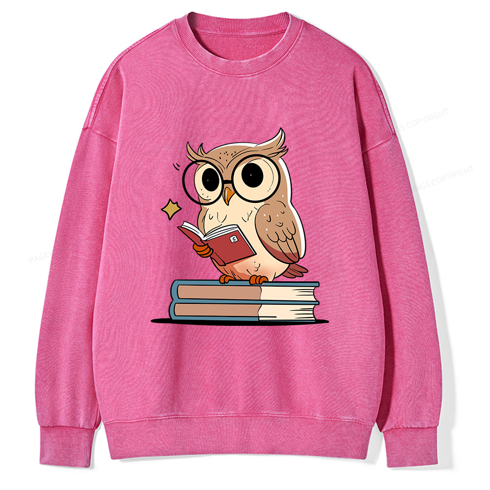 Pagewings The Owl Reader Unisex Washed Sweatshirt