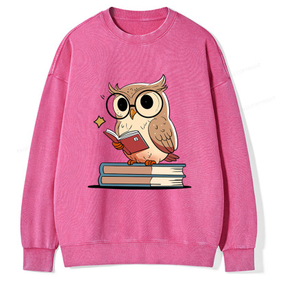 Pagewings The Owl Reader Unisex Washed Sweatshirt