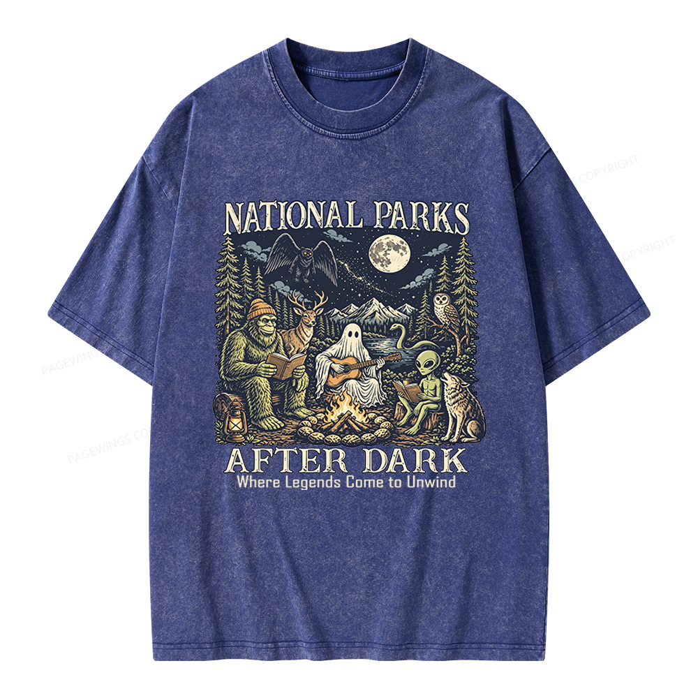 Pagewings National Parks After Dark Unisex Washed T-shirt