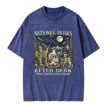 Pagewings National Parks After Dark Unisex Washed T-shirt