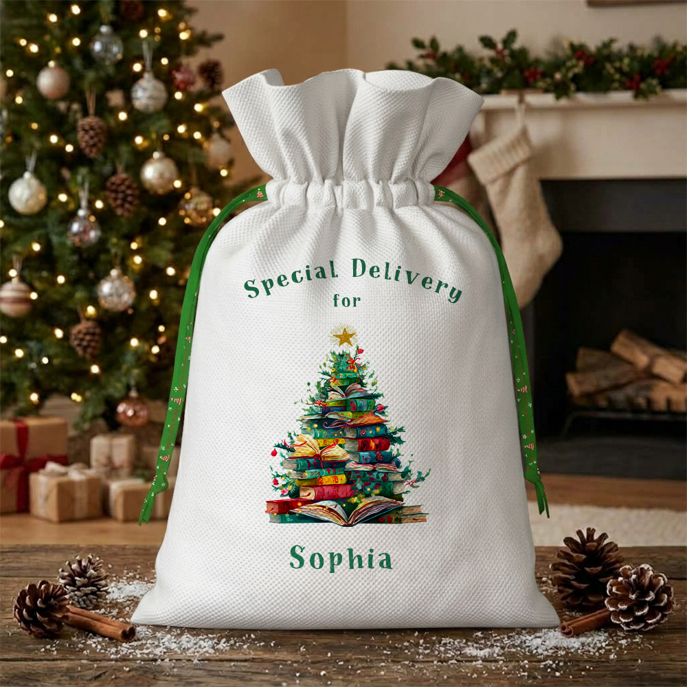 Pagewings Personalized Christmas Book Christmas Santa Sack