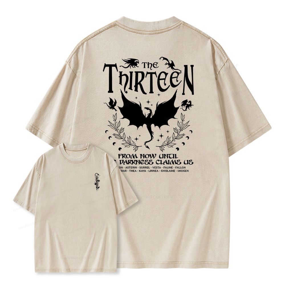 Pagewings The Thirteen Unisex Washed T-shirt