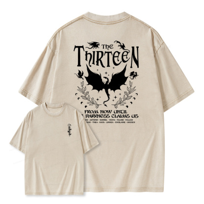Pagewings The Thirteen Unisex Washed T-shirt