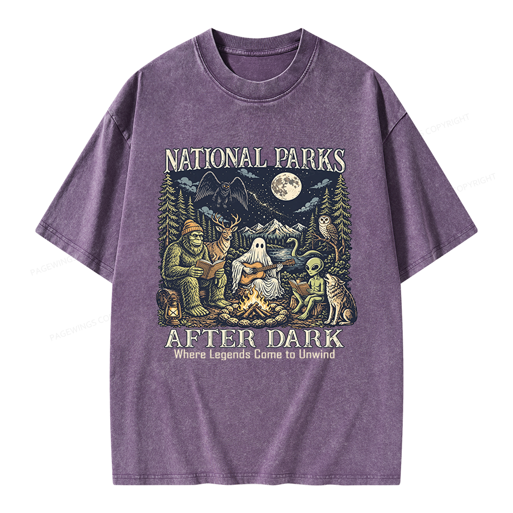 Pagewings National Parks After Dark Unisex Washed T-shirt