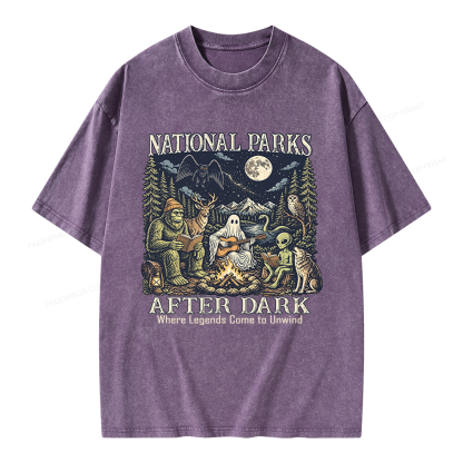 Pagewings National Parks After Dark Unisex Washed T-shirt