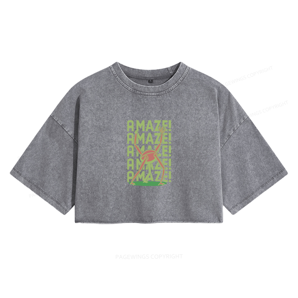 Pagewings Rocky Amaze Women's Washed Cropped T-shirt