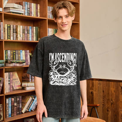 Pagewings I'm Ascending Vintage Unisex Washed T-shirt