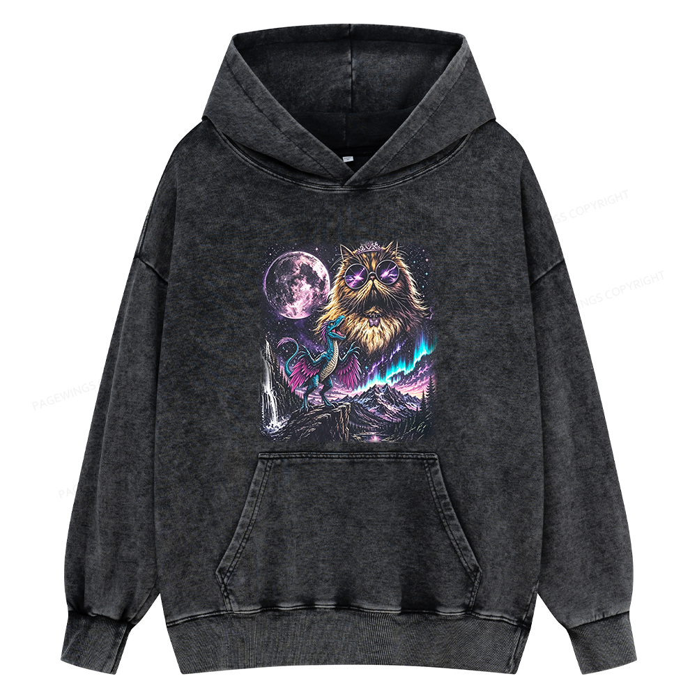 Pagewings Sci Fi Books Lover Unisex Washed Hoodie