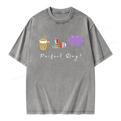 Pagewings Perfect Day Unisex Washed T-shirt