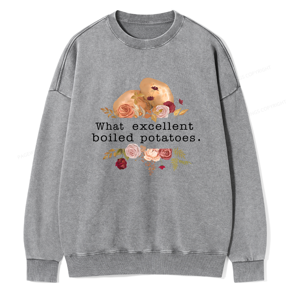 Pagewings Pride and Prejudice Unisex Washed Sweatshirt