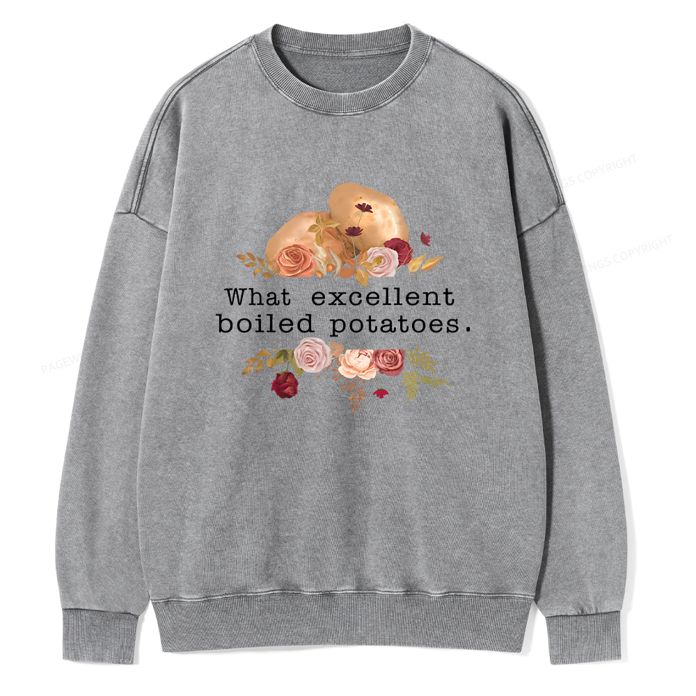 Pagewings Pride and Prejudice Unisex Washed Sweatshirt