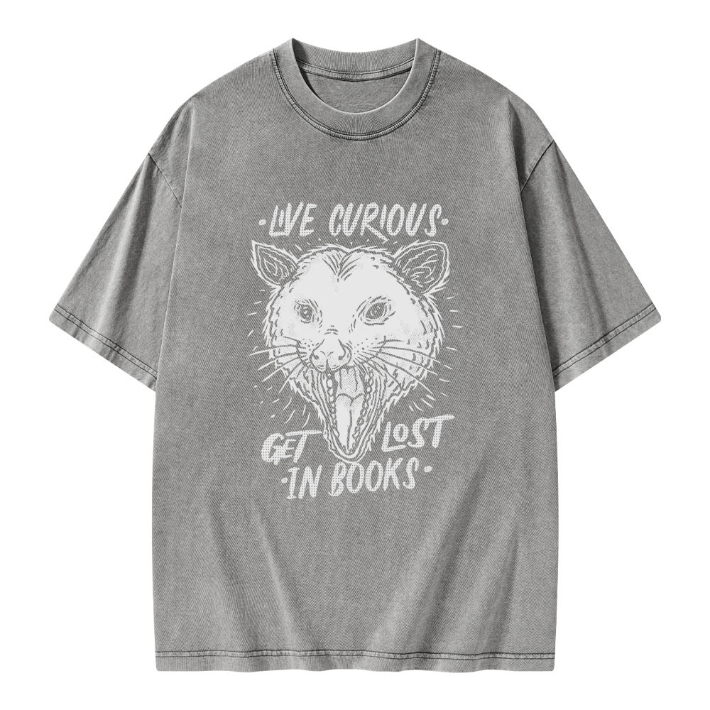 Pagewings Live Curious, Get Lost In Books Unisex Washed T-shirt