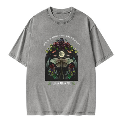 Pagewings Dark Academia Bookish Poe Unisex Washed T-shirt