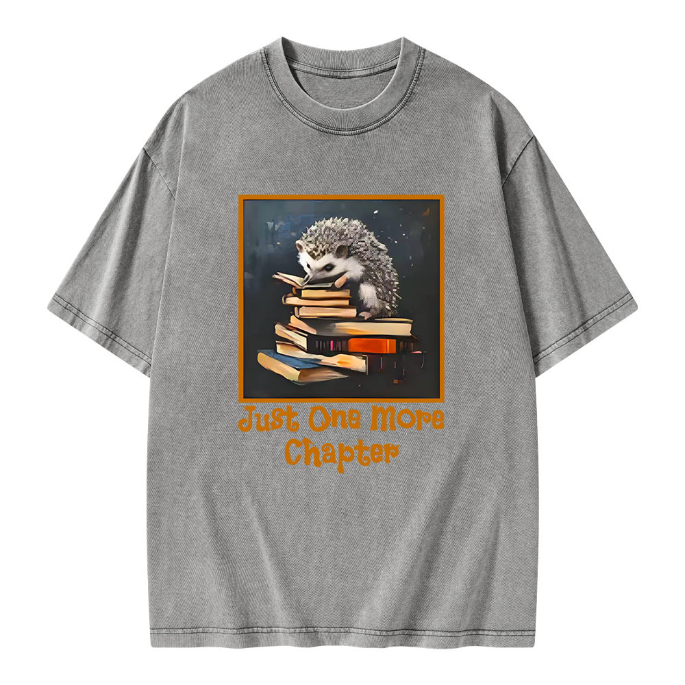 Pagewings Just One More Chapter Unisex Washed T-shirt