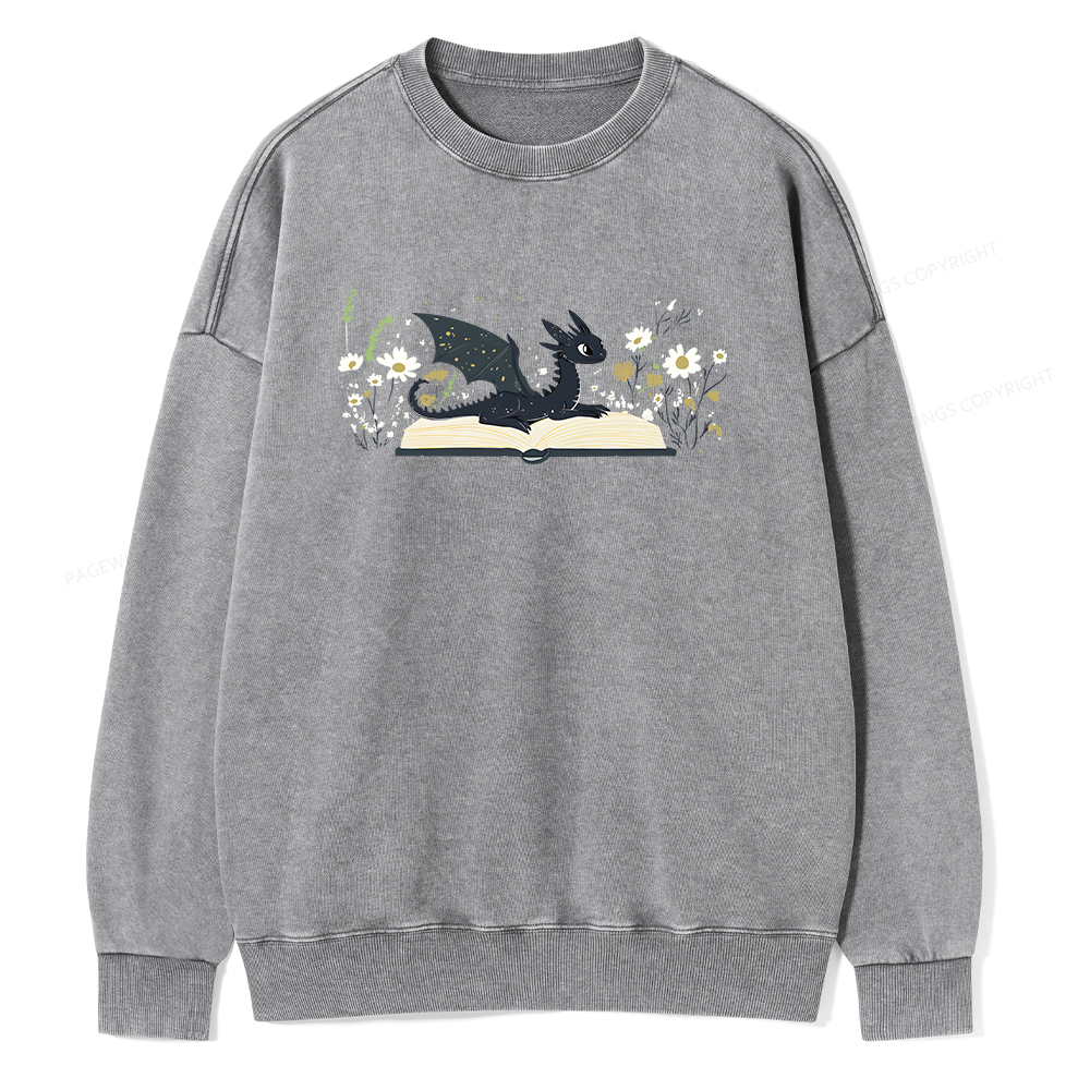 Pagewings Dragon Book Unisex Washed Sweatshirt