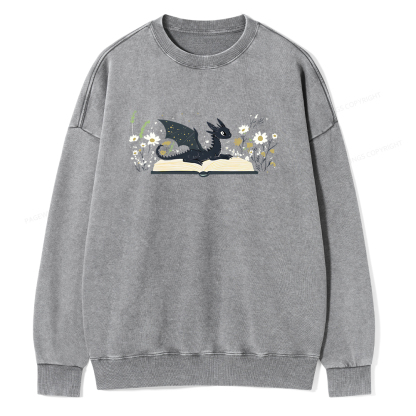 Pagewings Dragon Book Unisex Washed Sweatshirt