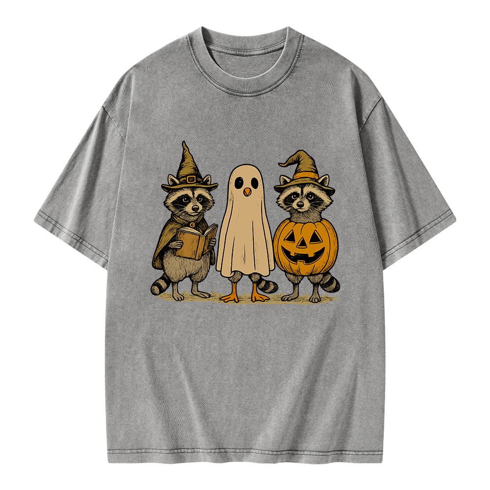 Pagewings Halloween Raccoon Unisex Washed T-shirt