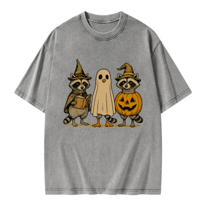Pagewings Halloween Raccoon Unisex Washed T-shirt