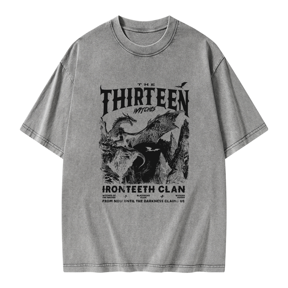 Pagewings The Thirteen Unisex Washed T-shirt