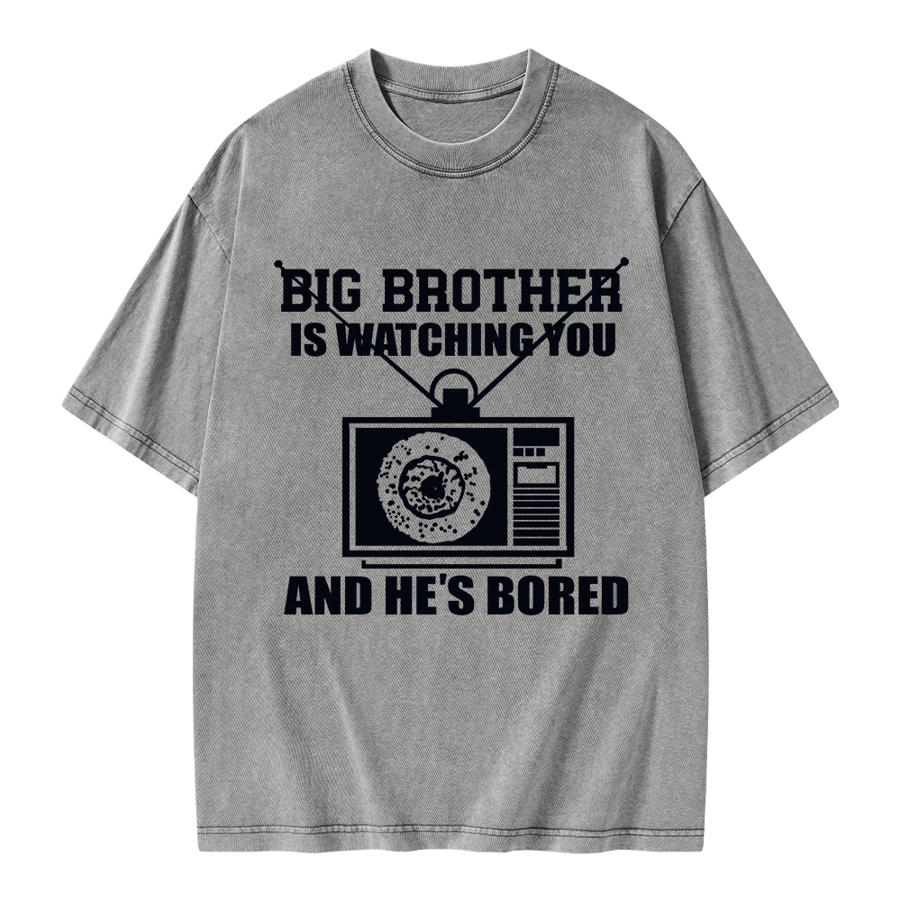 Pagewings Big Brother is Watching Unisex Washed T-shirt