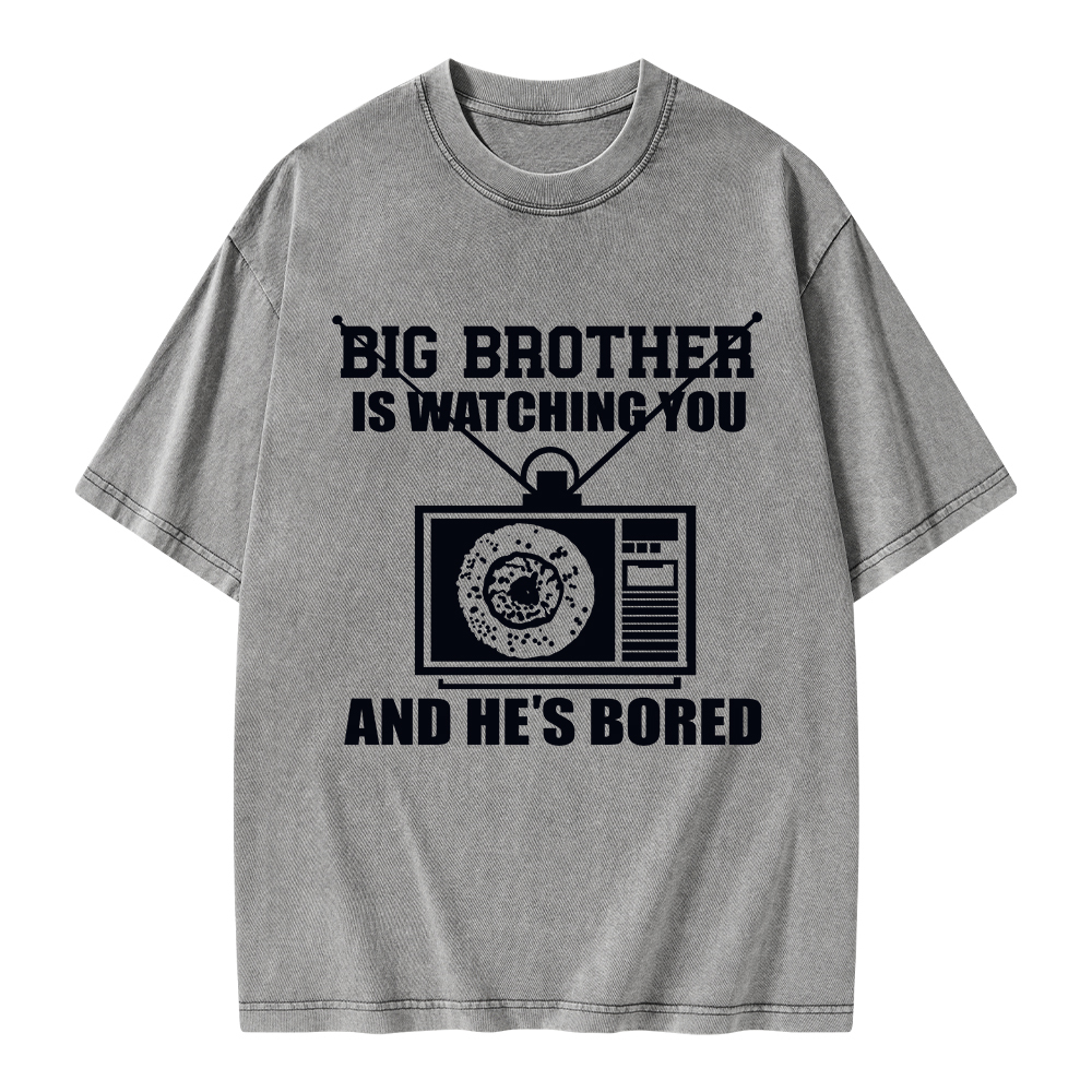Pagewings Big Brother is Watching Unisex Washed T-shirt